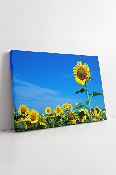 KOSS Dijital Εικόνα σε καμβά με ηλιοτρόπια πεδία με λαμπερό κίτρινο χρώμα κάτ...