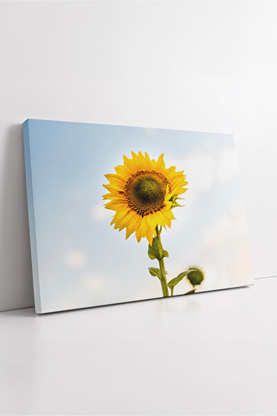 KOSS Dijital Εικόνα σε καμβά με ηλίανθο με θέμα τη μίνιμαλ φύση κάτω από τον ...