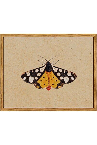 ALAYRA International لوحة زيتية عتيقة مؤطرة على قماش، مقاس 30×40 سم، بتصميم ح...