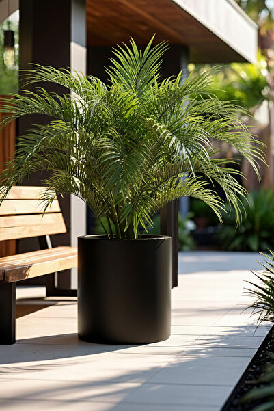 DEQQU Aura Cylindro 40x30cm Fiber Silindir Saksı - Mat - Büyük Saksı - Üst Aç...