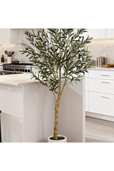 SCHENKERO شجرة زيتون صناعية بطول 213 سم، نبات صناعي مزروع في أصيص مع أغصان وث...