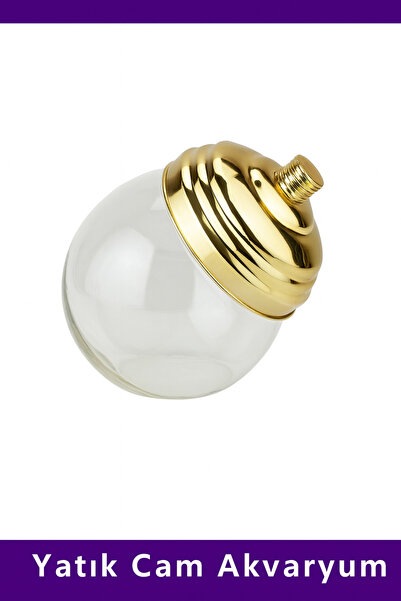 2 Litre Gold Kapaklı Yatık Cam Akvaryum 15x19 cm