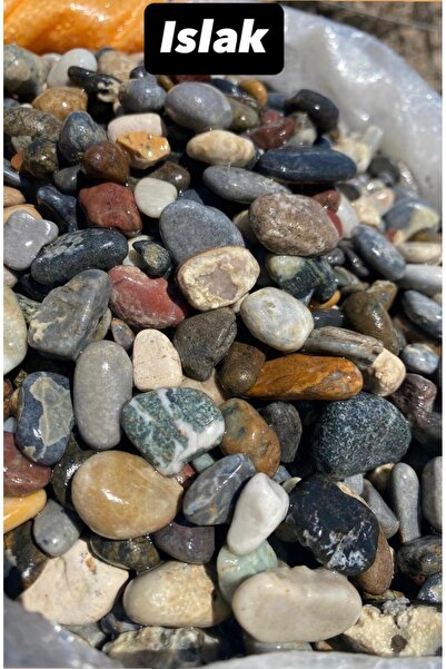 Erdönmez Peyzaj Dolomit Renkli Akvaryum Çakıl Taşı ( 1-2 cm / 5 kg ) Dekorati...