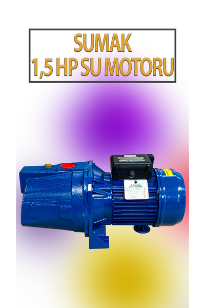 Sumak 1,1 KW 1,5 HP 2820 D/D 5,8 A. Su Motoru 220 V/50 Hz Su Pompası Jet Pompası