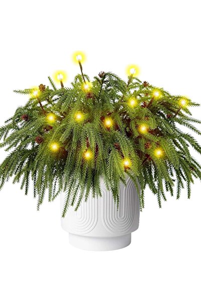Generic 12Pcs Christmas Norfolk Pine Branches with Lights, Faux Cedar Stems, 45cm, Green