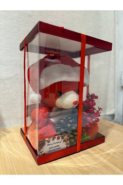 ADA HOME COLLECTION SHOP BÜYÜK BOY ŞEFFAF HEDİYE KUTUSUNDA PELUŞ AYICIK
