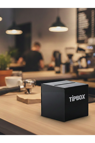 Pleksia TİPBOX KUTU KUMBARA
