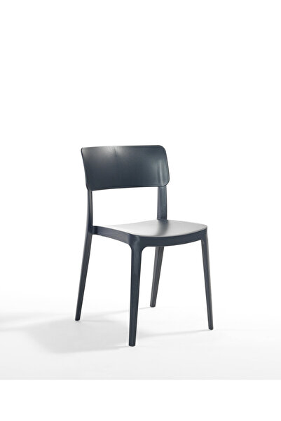 Novussi Pano Sandalye 6'lı
