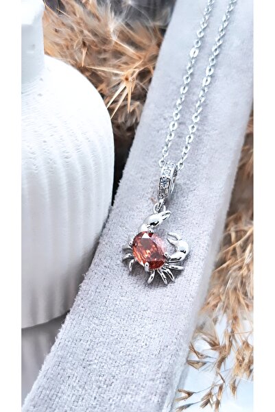 Serenity Astrology Zodiac Signs Figured Steel Necklace