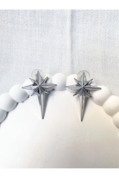 Bade Special Series Polar Star Model Silver Color Women's Earrings