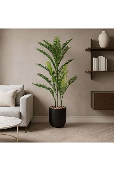 co arma Areca palm tree, 3 branches, plastic pot - 110 cm - black