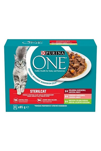PASAPORT Hrană pentru pisici fără gluten, Purina One, 12 x 85 g