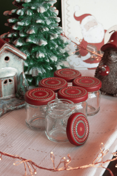 Sarkap Home Bordo Wishes 6'lı 40 ml Cam Kavanoz