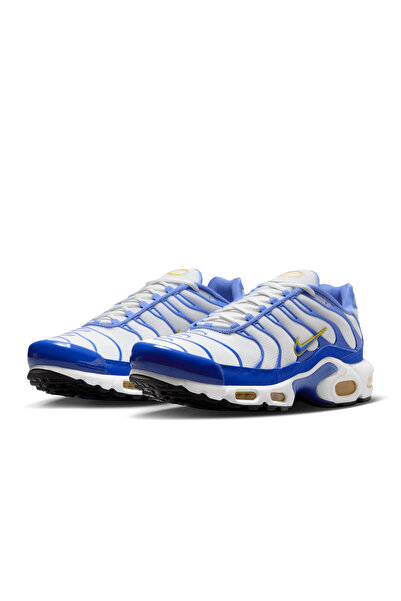 Nike Air Max Plus Erkek Ayakkabıları
