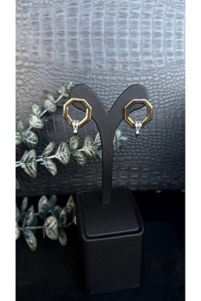 Elmira Jewelry Vip Model Steel Earrings