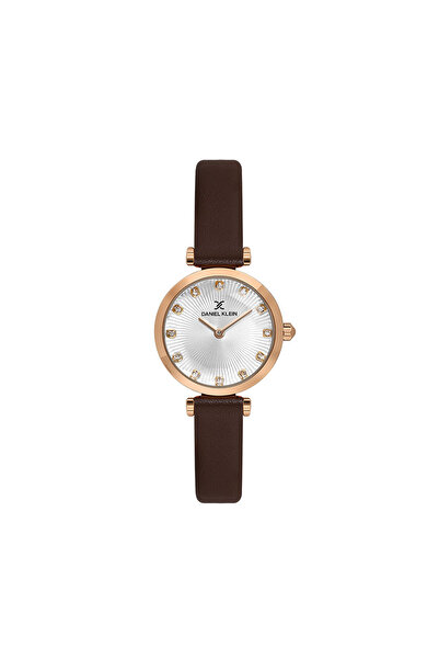 Daniel Klein Premium ladies watch DK.1.13919.5