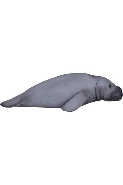 MOJO مجسم لعبة واقعي لحيوان خروف البحر، من إنتاج شركة إنترناشونال وايلدلايف، ...