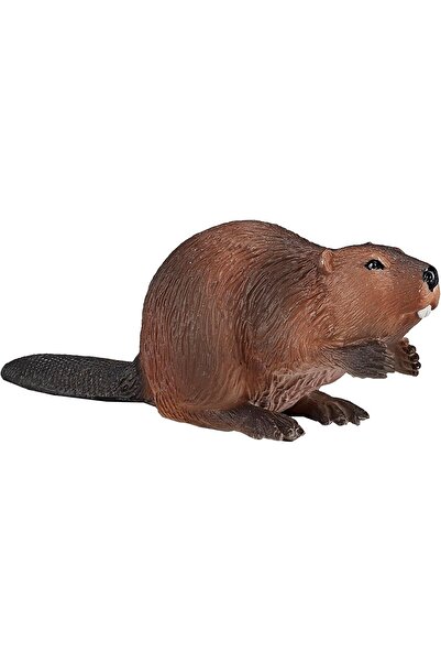 MOJO دمية القندس