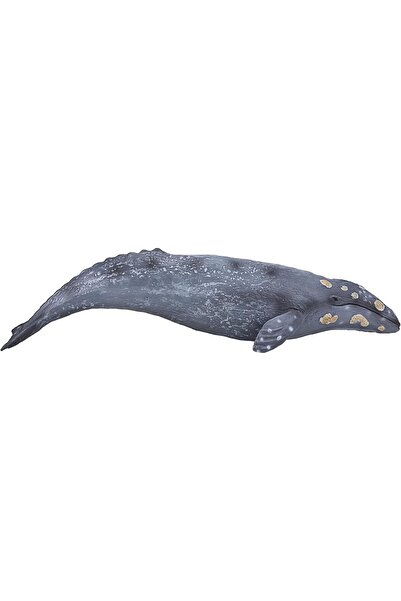MOJO تمثال حوت رمادي كبير واقعي مطلي يدويًا