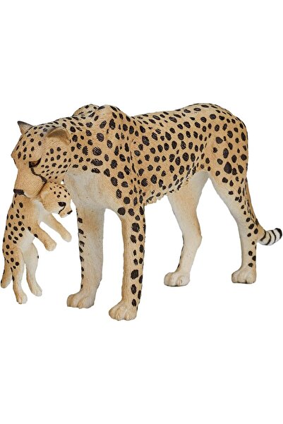 MOJO أنثى فهد مع مجسم لعبة لشبلها