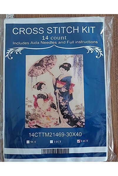 success Cross Stitch Embroidery Kit