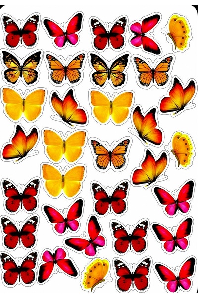 BENİMSER REKLAM مجموعة ملصقات الفراشة الملونة – 22 × 30 سم – لامعة ومقاومة للماء