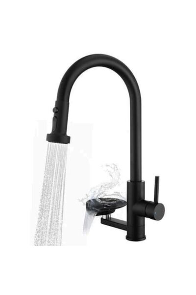 EDYLUX Kitchen Faucet 3-in-1, Pull-Out Sprayer, Extendable Hose, Integrated G...