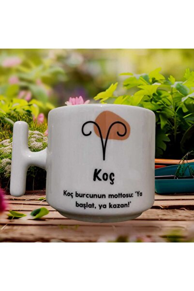 GameFruy Aries Zodiac Sign Double Sided Printed Mug - Ceramic Tea, Coffee Gif...