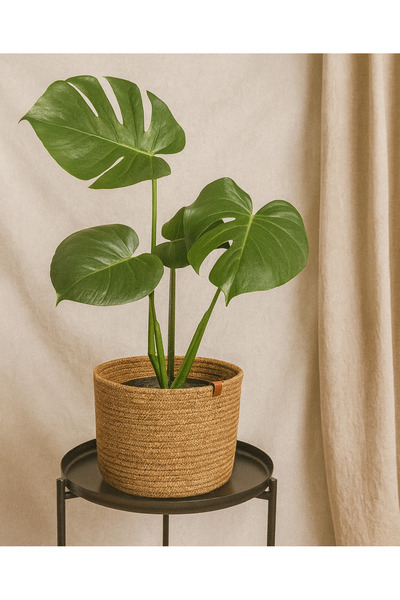 Efuliz Home Καλάθι για γλάστρες από γιούτα-ψάθινο, πολλαπλών χρήσεων-διακοσμη...