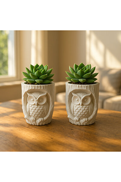 Bal Craft Baykuş Saksı 2li Set