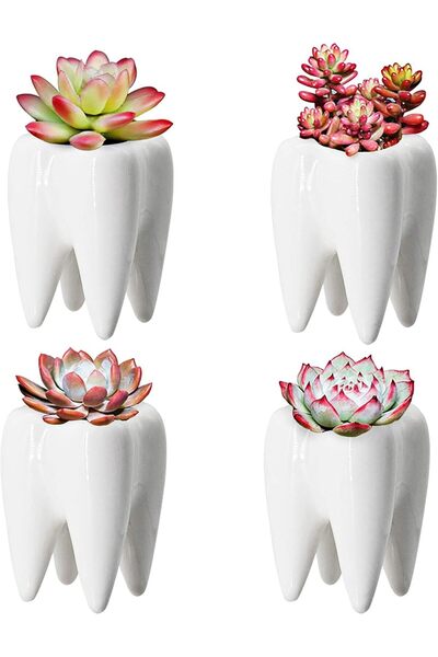 YOFIT Ceramic Flower Pot with Modern Design, White Succulent Bonsai Plant Pot...