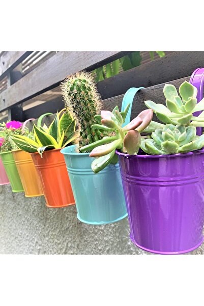 Generic LáLáGreen 6-inch Metal Hanging Plant Pots, Rainbow, 10 Pack