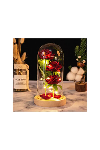 Fatio Valentine's Day Rose Gift for Her – Rose Dome with Petals and Wooden Base