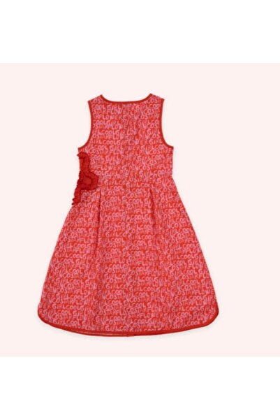 Panço KIZ ÇOCUK FLOWER GIRL DESENLİ ELBİSE GKPN0116