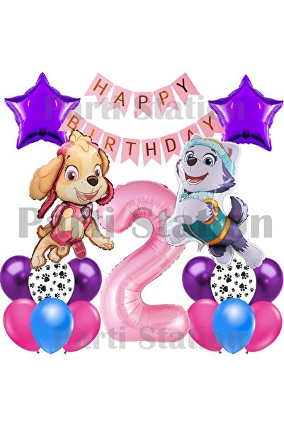 Parti Station Paw Patrol Skye and Everest Concept 2Nd Birthday Party Balloon Set