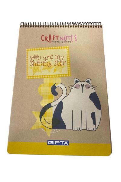 tüftürük Bloc de note Gıpta Craftnotes 100 coli în carouri