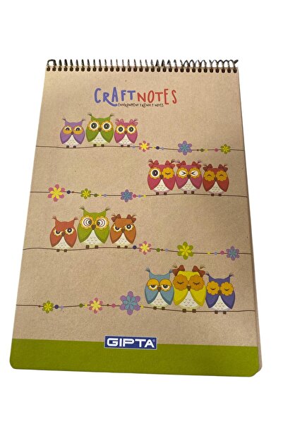 tüftürük Bloc de note Gıpta Craftnotes 100 coli în carouri
