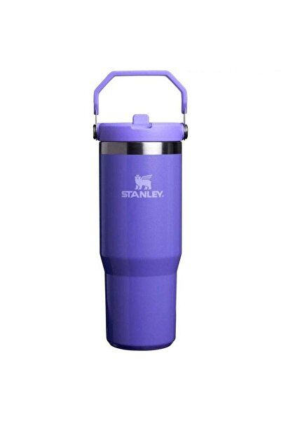 Generic Stanley IceFlow 30oz Stainless Steel Tumbler with Flip Straw - Purple