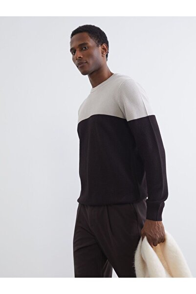 LC Waikiki LCW Vision guler rotund bloc de culoare Pulover pentru bărbați