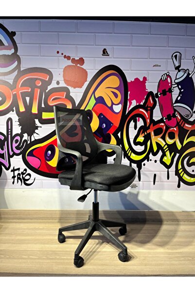 Hisar Mobilya Port Çalışma Koltuğu Renkli Oturaklı Seçeneklerle Fileli Çocuk ...