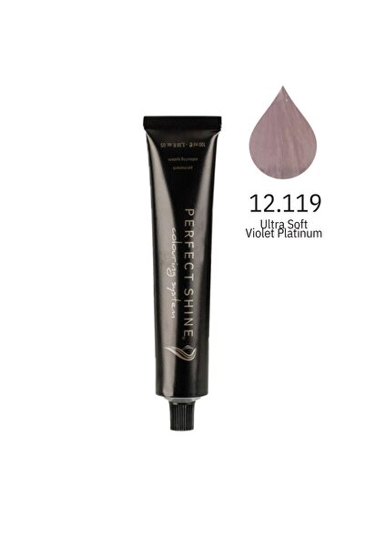 PERFECT SHINE Permanent Profesyonel Saç Boyası 100ml-Ultra Açıcı Buzul Viyole...