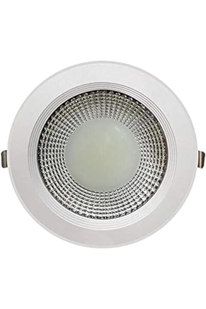 Max Energy Saving LED Ceiling Down Light COB High Bright Round Indoor (8In,30W, White)