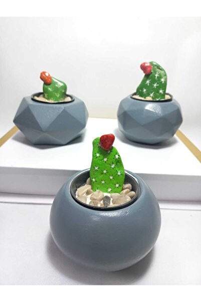 emilysamy Decorative Gray Color Cobalt in a Set of 3 - Cactus/Succulent Cobalt Heat, Flower Pot Set