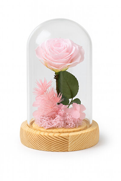 OEM Glass dome with pink cryogenic rose, wooden base, elegant arrangement 12.5x9 cm