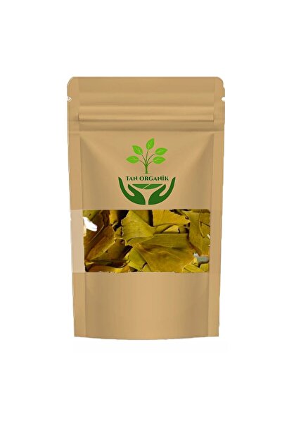tan organik Ginko Biloba Leaf 40Gr