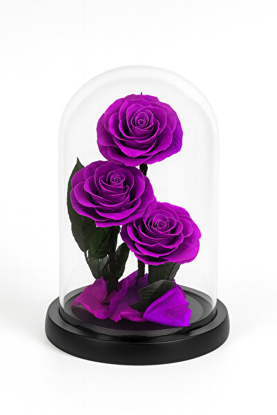 OEM Trandafiri criogenați mov sub cupolă de sticlă, 23x14 cm, aranjament cadou premium