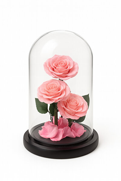 OEM Cryogenic Pink Roses under Glass Dome 23x14 cm, Luxury Arrangement