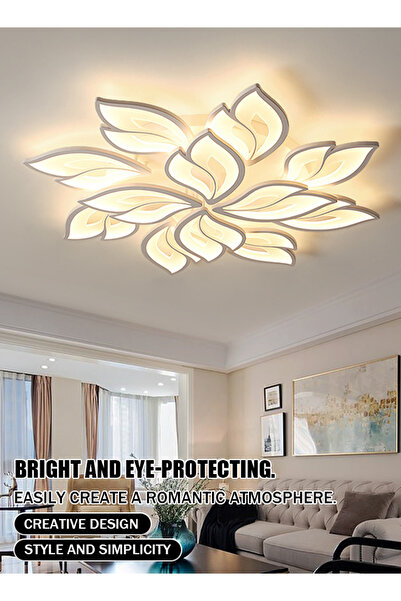 Generic Simple, modern and elegant household LED ceiling lamp with creative acrylic design