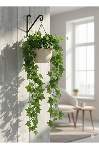 YASİMA 5 DALLI HADERA SARKIT SAKSI VE DEKORASYON SÜSÜ