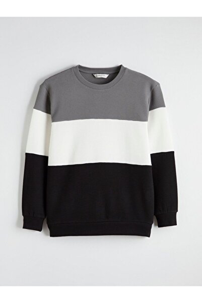 LC Waikiki Lcw Vision Crew Neck Color Block Men's Sweatshirt